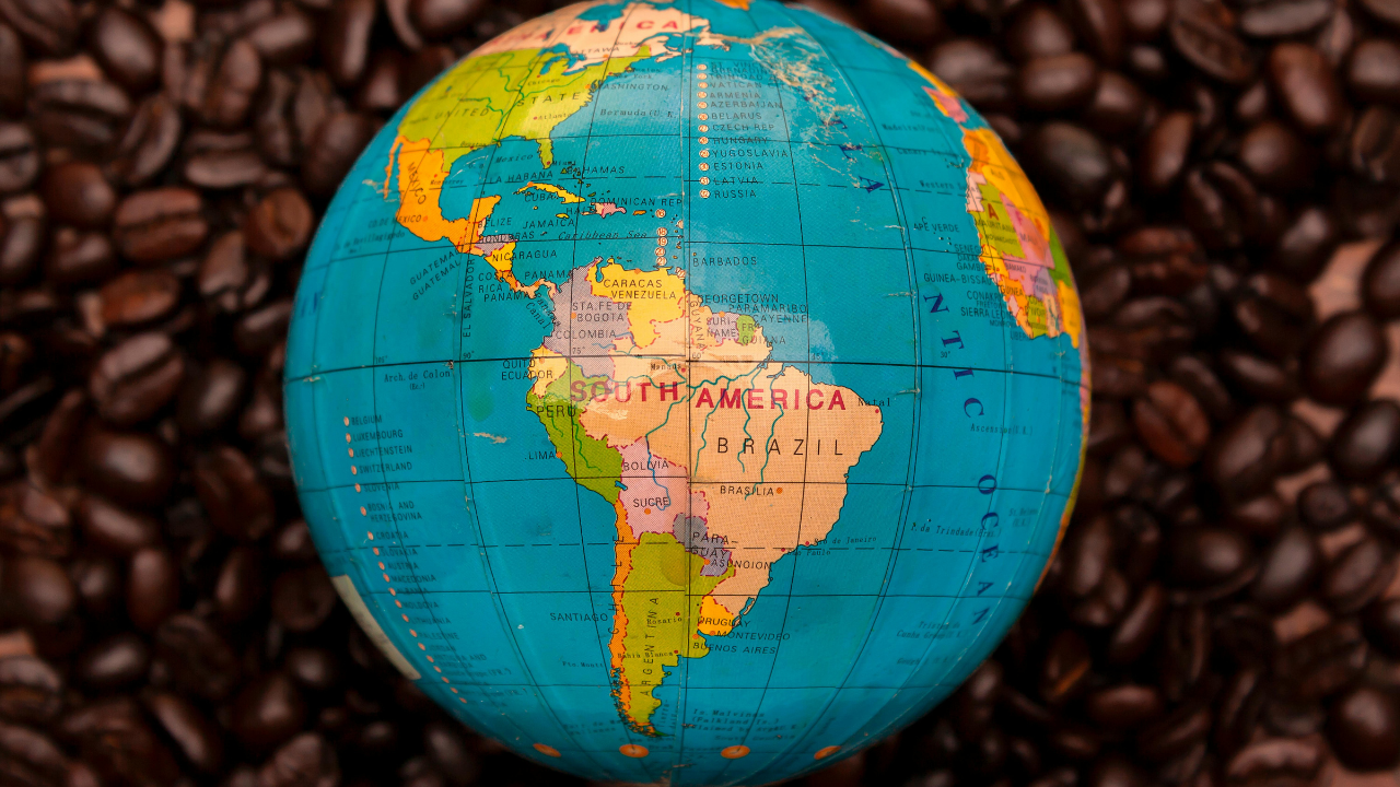Coffee & Climate Change: What’s Happening to the Coffee Industry?