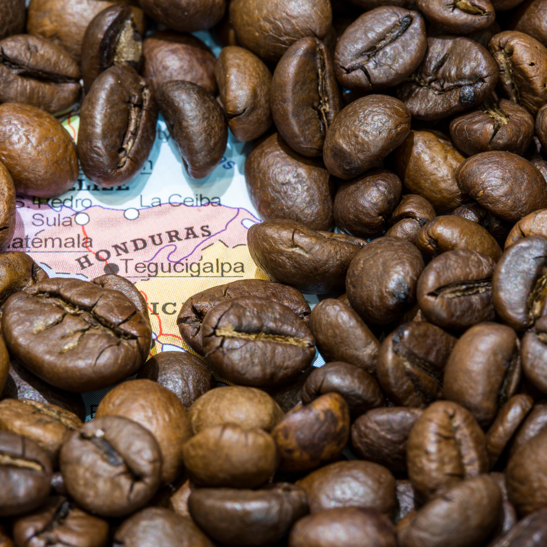 Jungle Breeze & The Beauty of Single-Origin Coffee vs. Blends – Which is Better?