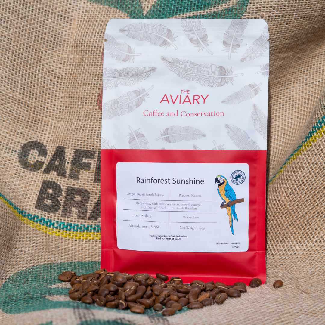 Coffee Around the World: Unique Traditions & How Cultures Brew Their Favourite Cup