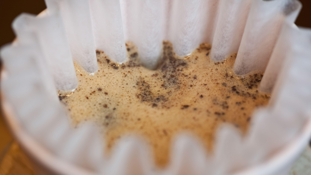 Should You Rinse Your Paper Coffee Filter?