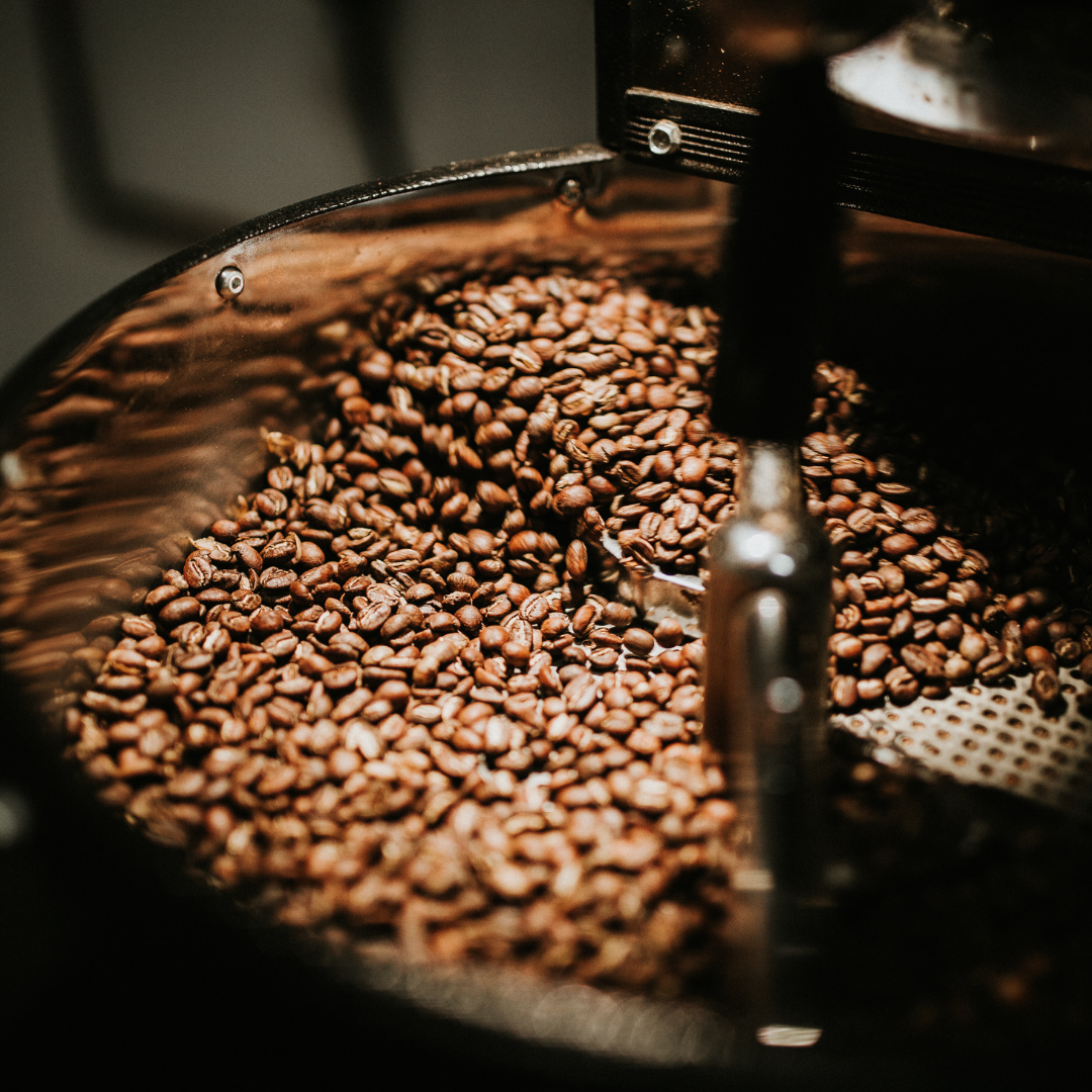 Which Coffee Tastes Better: Dark Roast, Medium Roast, or Light Roast?
