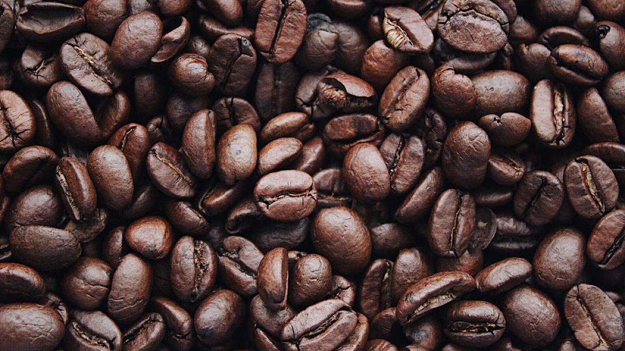 What is the Difference Between Arabica and Robusta Coffee Beans?