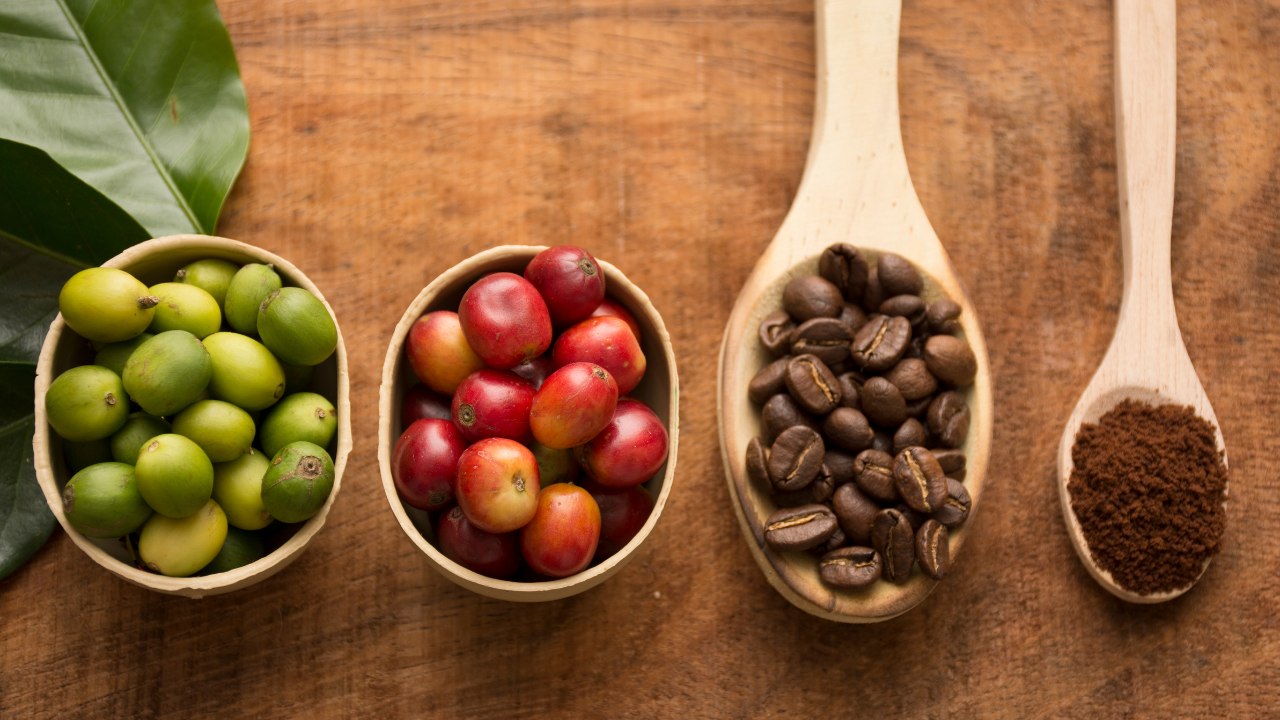 4 Best Organic Coffee Brands to Try in 2026