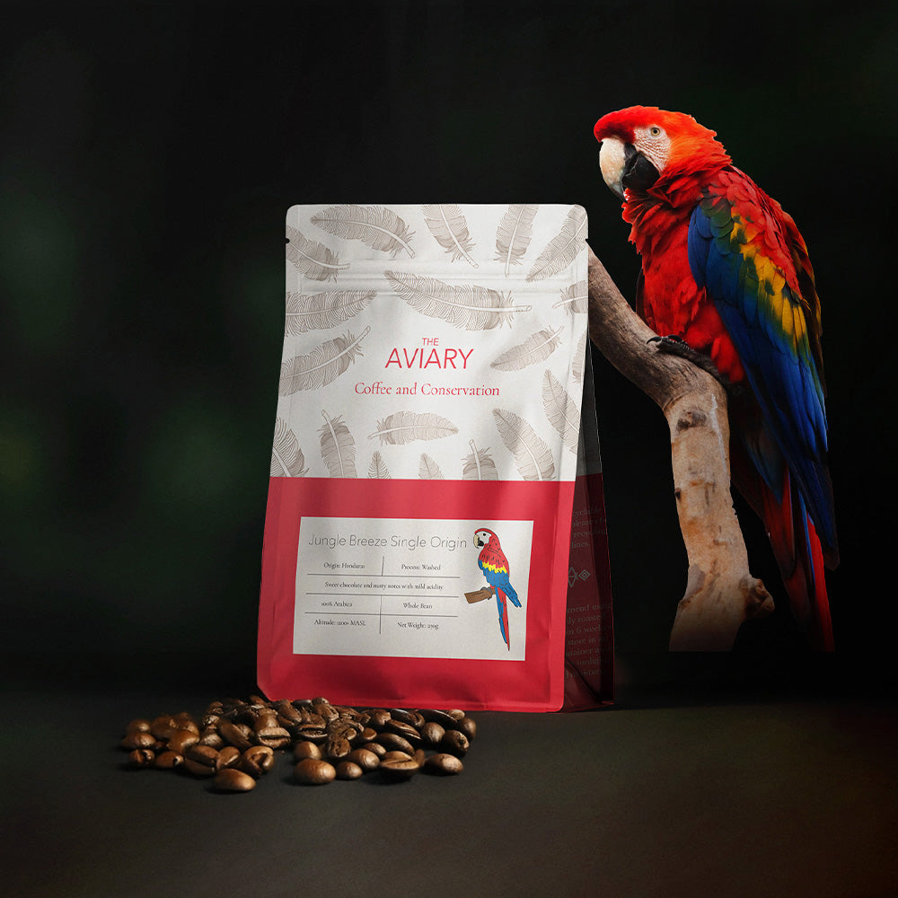 Jungle Breeze Single Origin Seasonal Coffee from Honduras